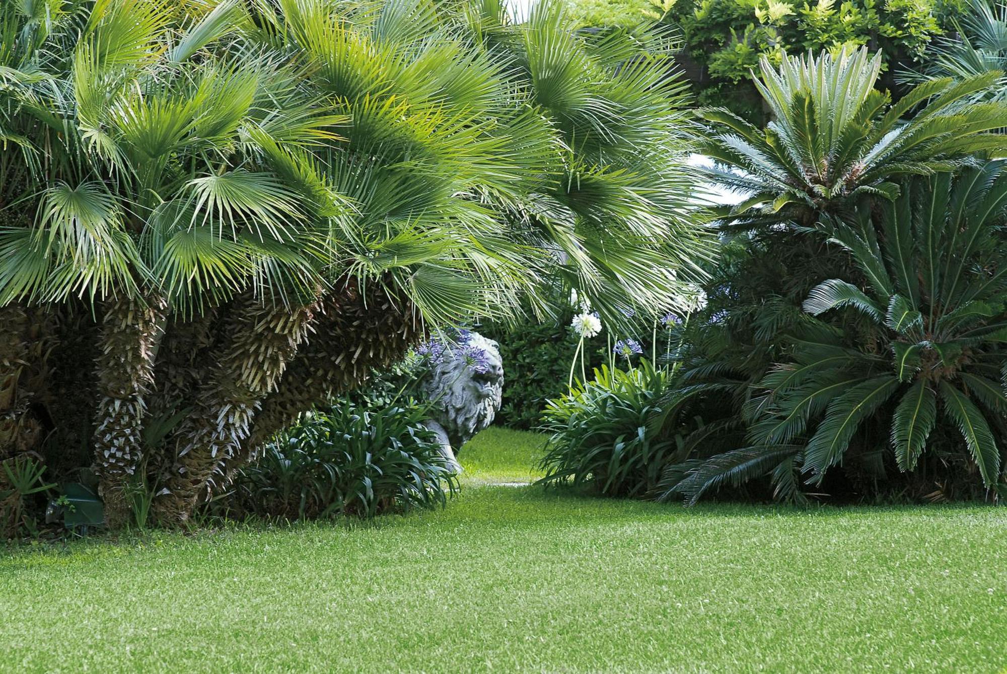 Grand Hotel Del Mare Resort & Spa Bordighera Bagian luar foto
